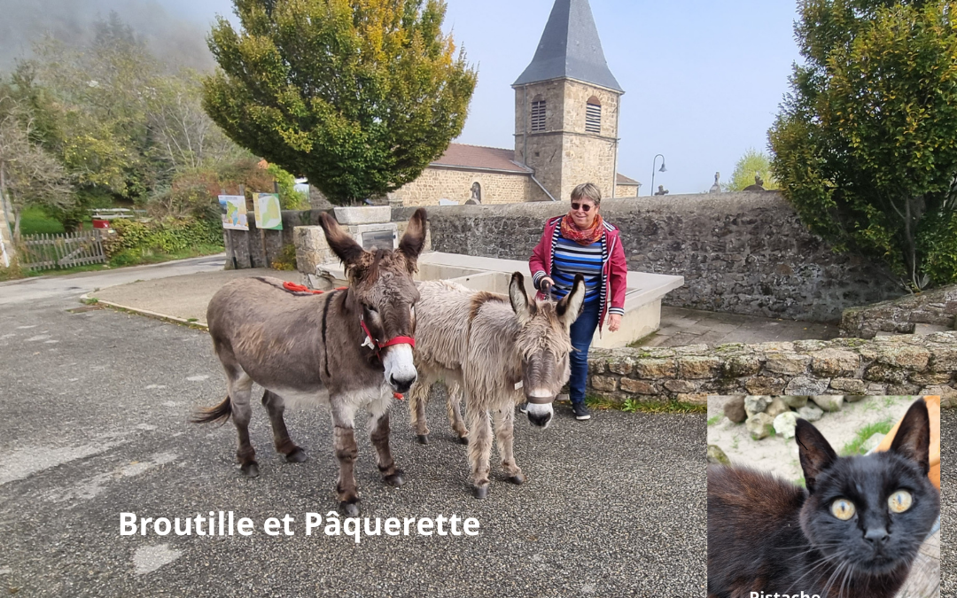 Vous partez quelques jours ? pensez à réserver Corinne GOURAUD pour s’occuper de votre animal de compagnie pendant votre absence !