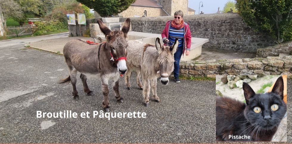 Vous partez quelques jours ? pensez à réserver Corinne GOURAUD pour s’occuper de votre animal de compagnie pendant votre absence !